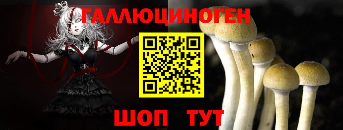 Псилоцибиновые грибы MAGIC MUSHROOMS Всеволожск