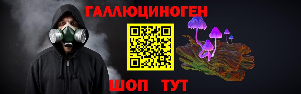 Всеволожск  где купить   Псилоцибиновые грибы Psilocybe  Вход с VPN  Галлюциногенные грибы мицелий 