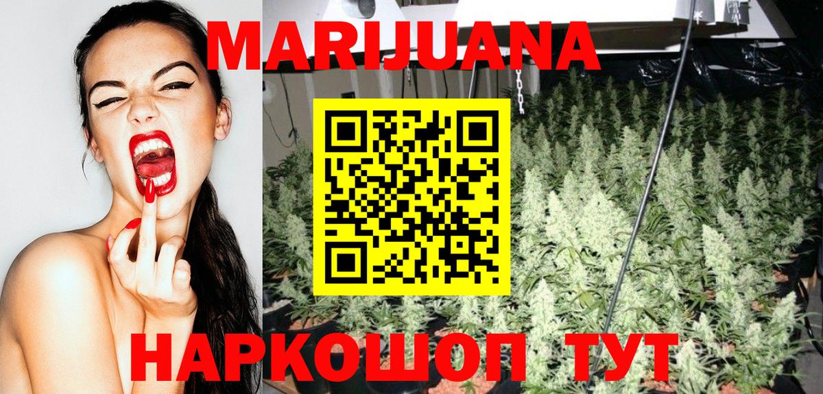 Каннабис OG Kush Всеволожск